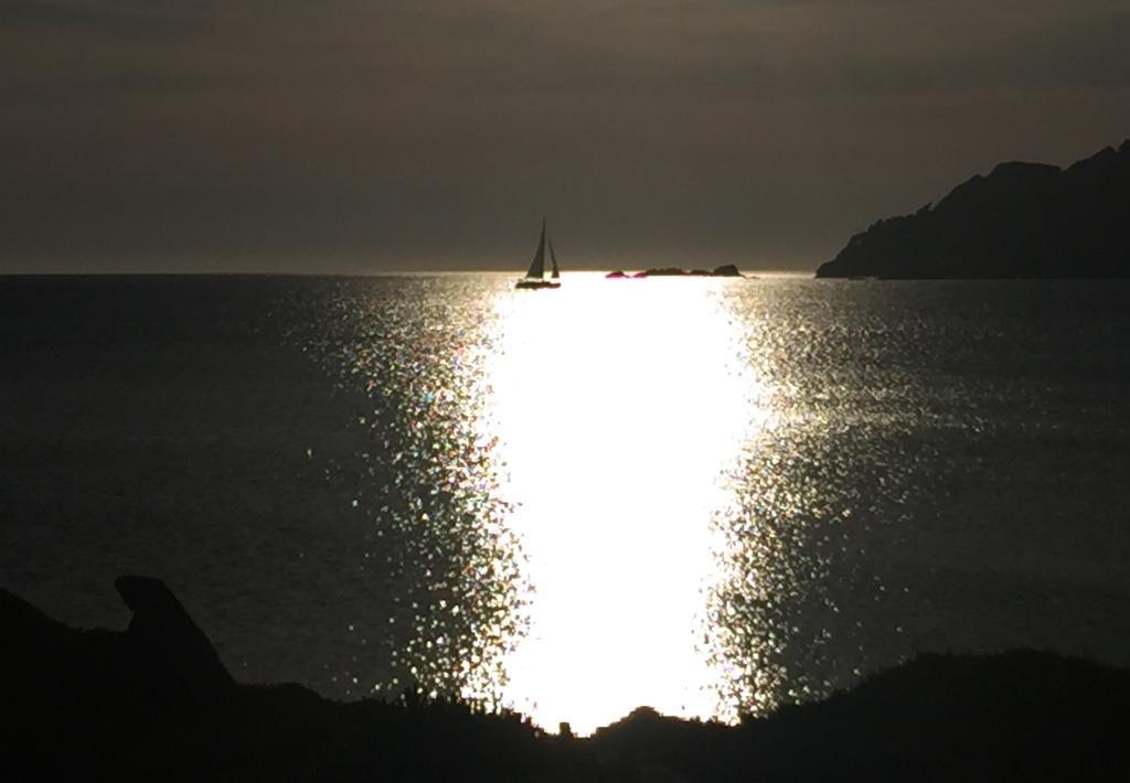 Villetta Mistral Santa Teresa Gallura Eksteriør billede